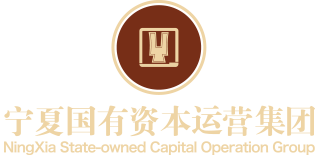 寧夏國有資本運(yùn)營集團(tuán)